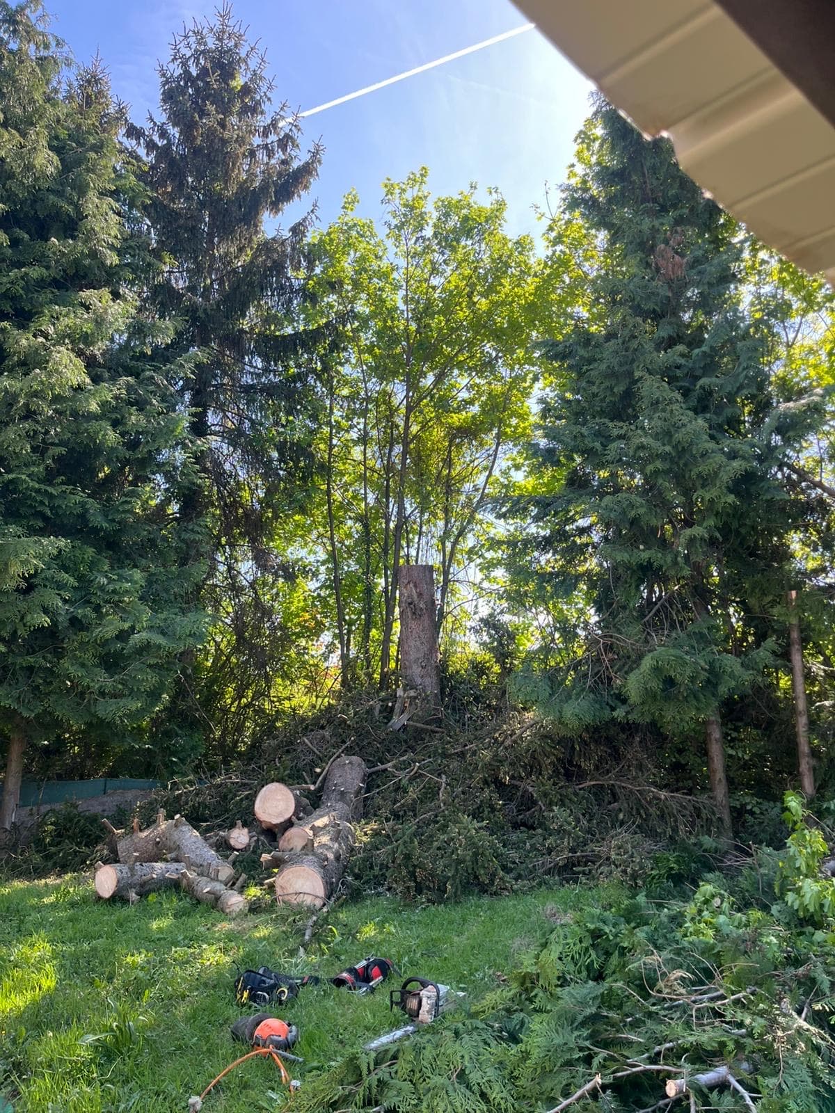 Rondins de bois découpés et matériel d'abattage sur chantier