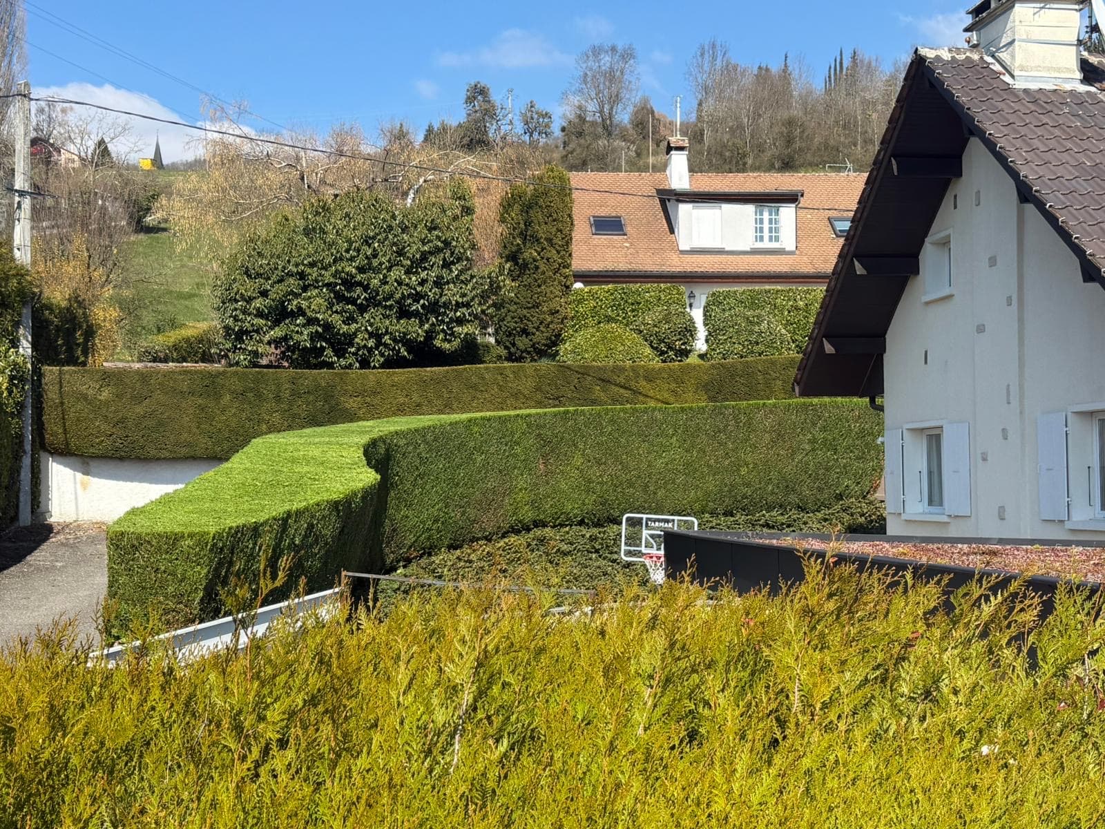 Haie de thuyas taillée avec précision devant un chalet alpin